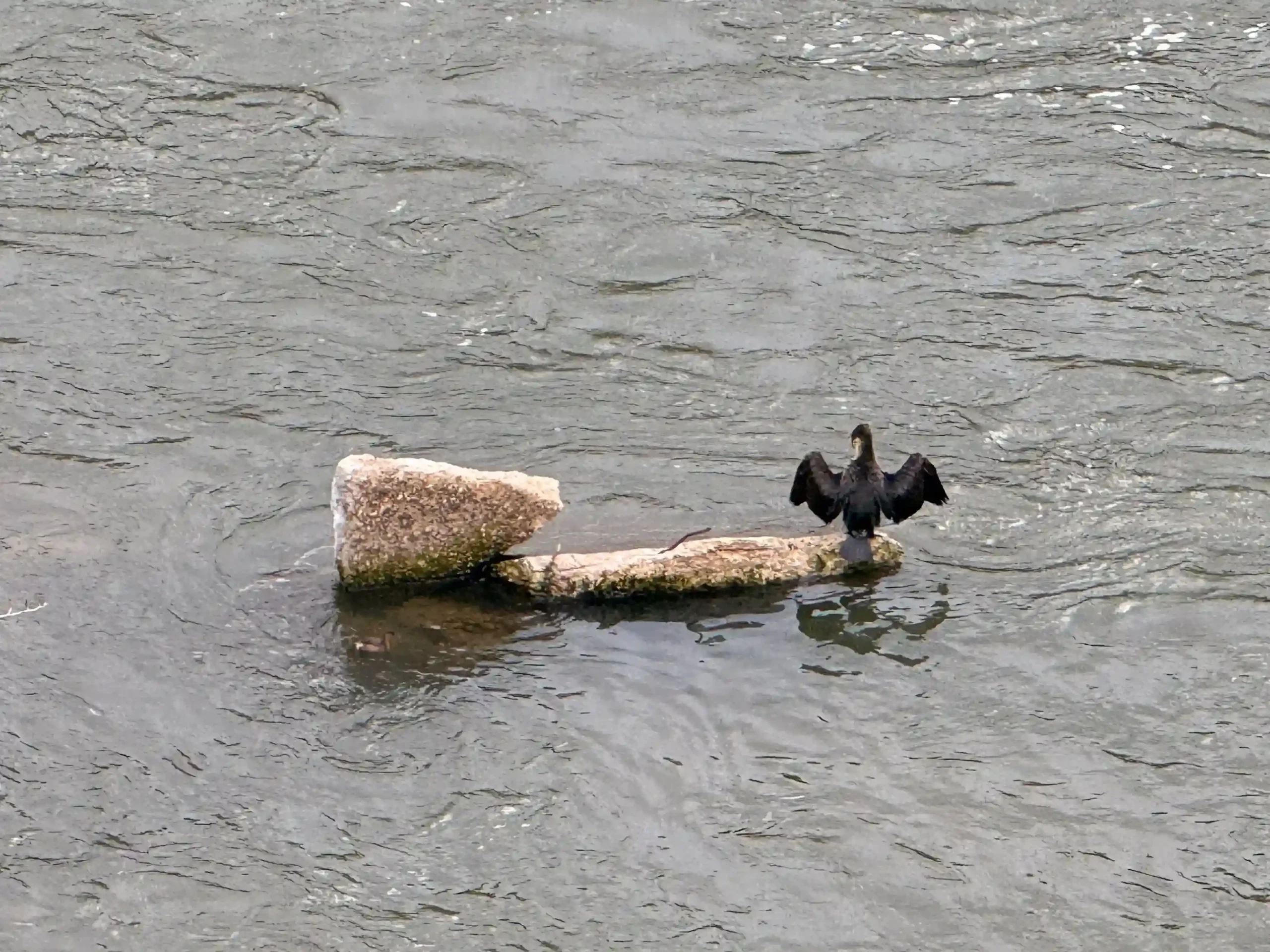 Mirador del puente y la Senda Ecológica de Toledo - La Maleta Inquieta