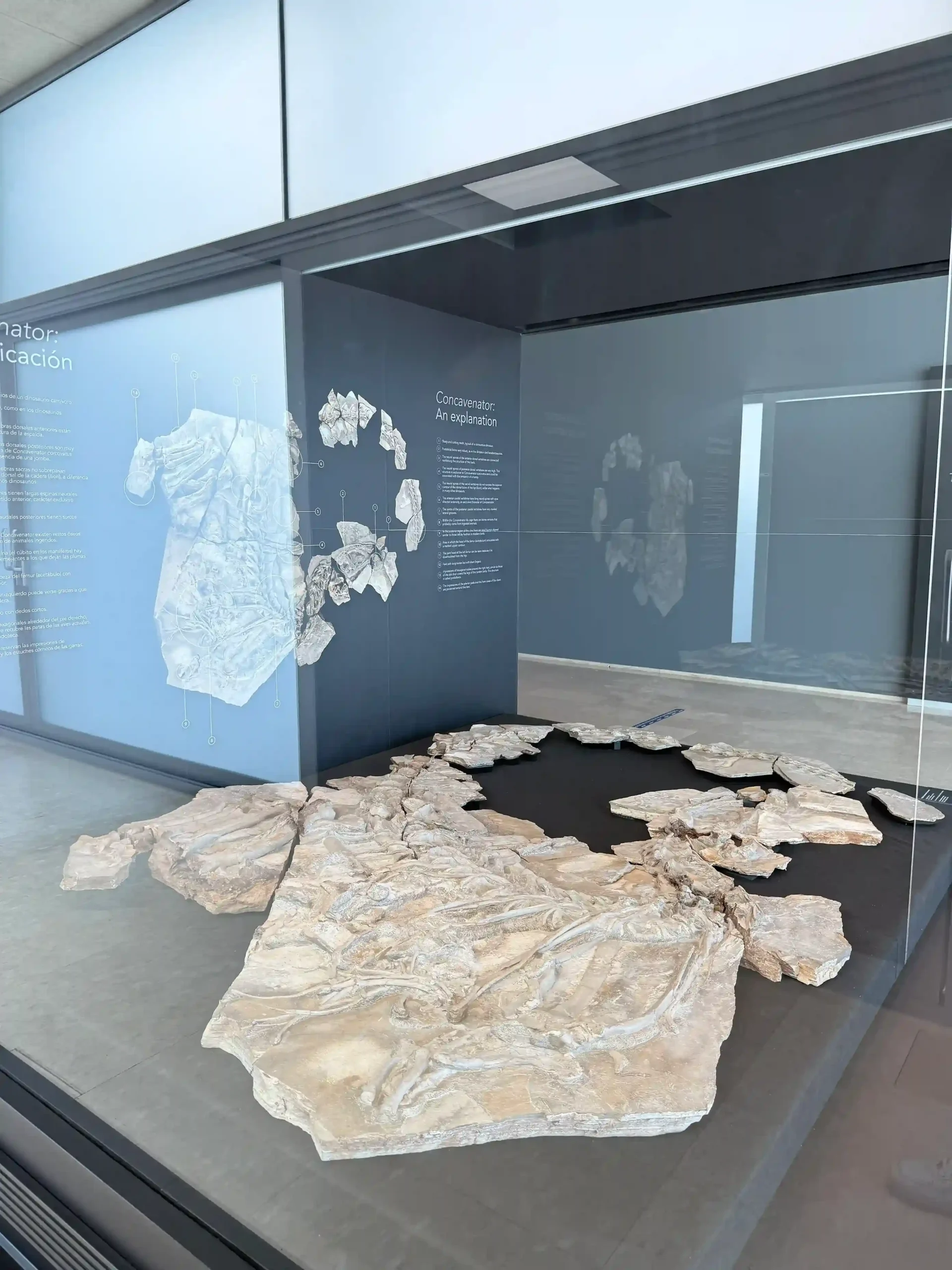 Pepito MUPA Cuenca - La Maleta Inquieta