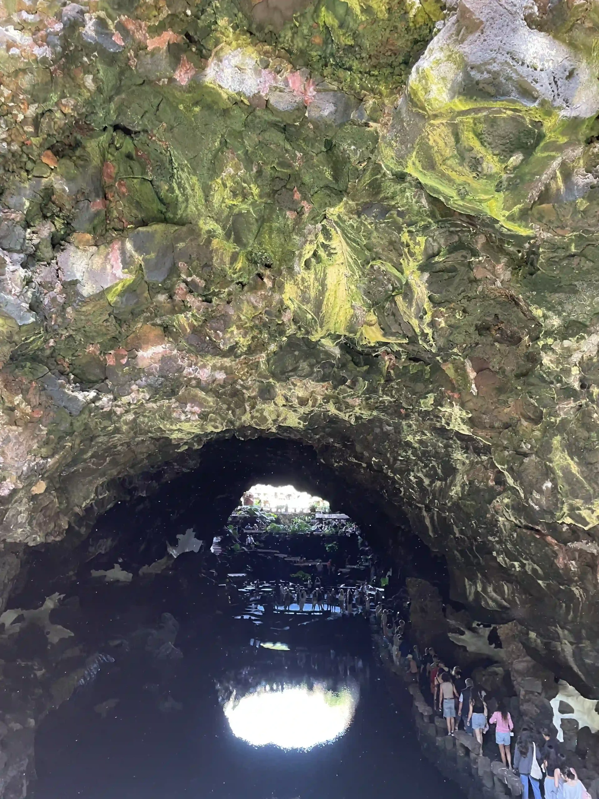Vegetación tropical del jameo abierto en los Jameos del Agua, con palmeras y muros de lava — Foto propia La Maleta Inquieta, mayo 2026
