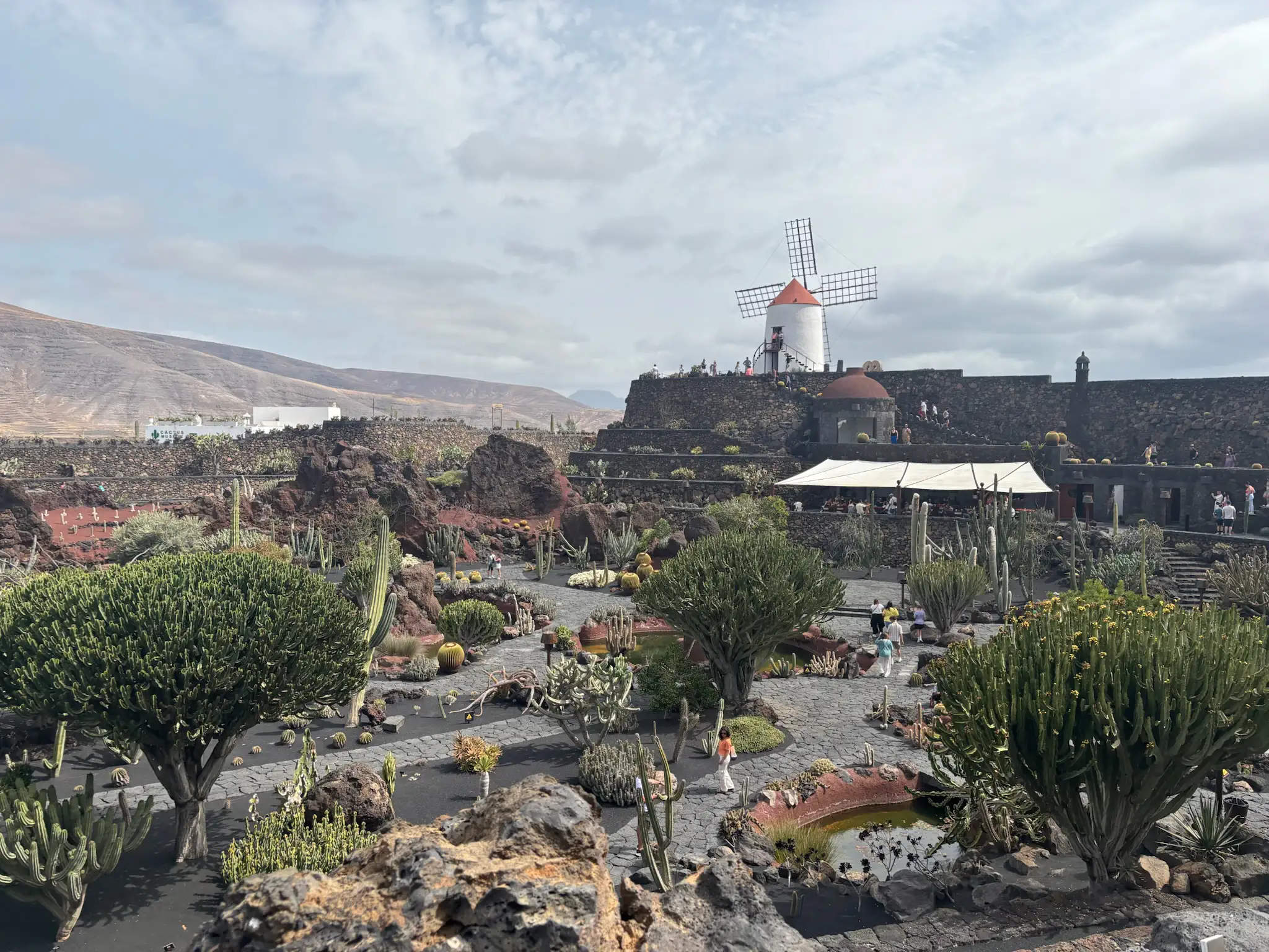 Jardín de Cactus Lanzarote - La Maleta Inquieta