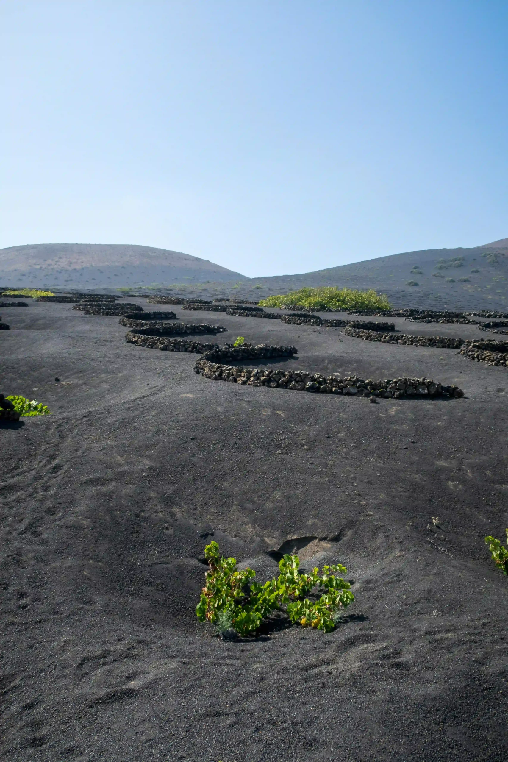 Fundación César Manrique Lanzarote - La Maleta Inquieta