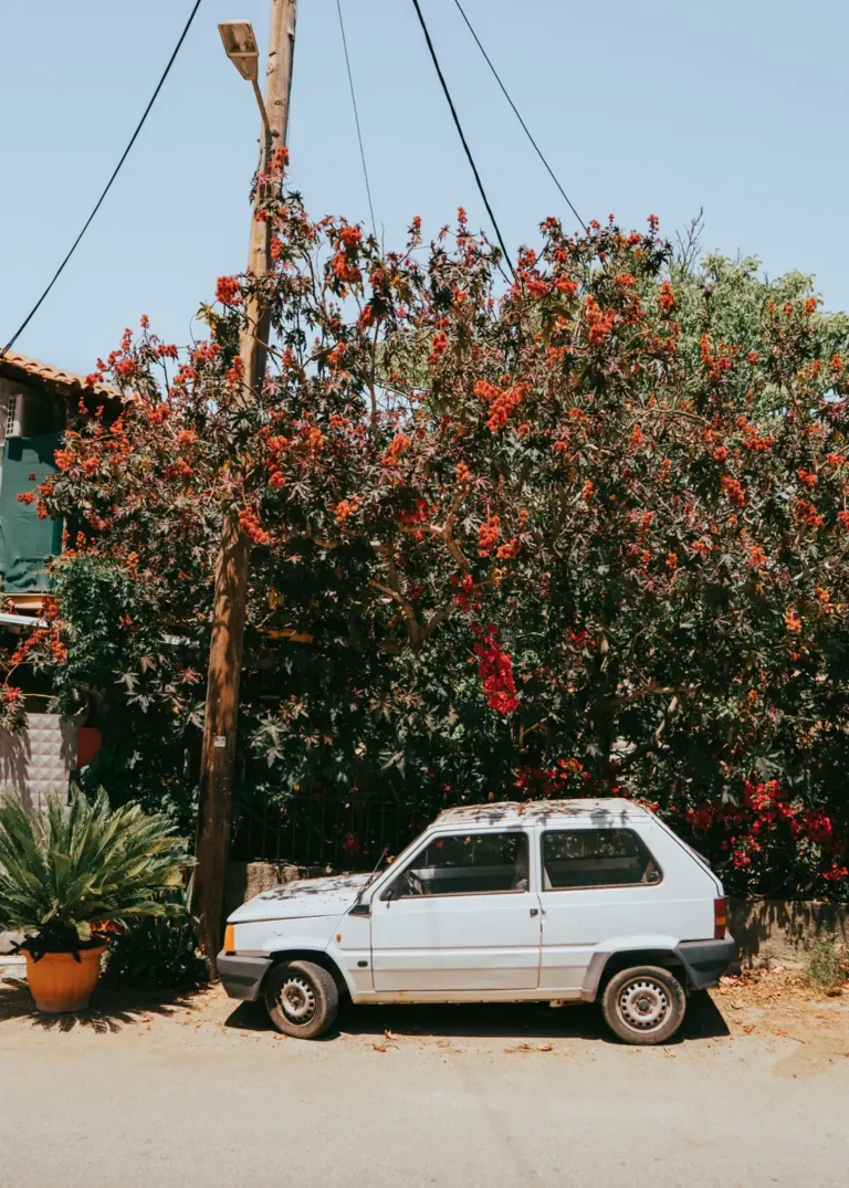 Coche aparcado en una calle tranquila de pueblo junto a una buganvilla en flor