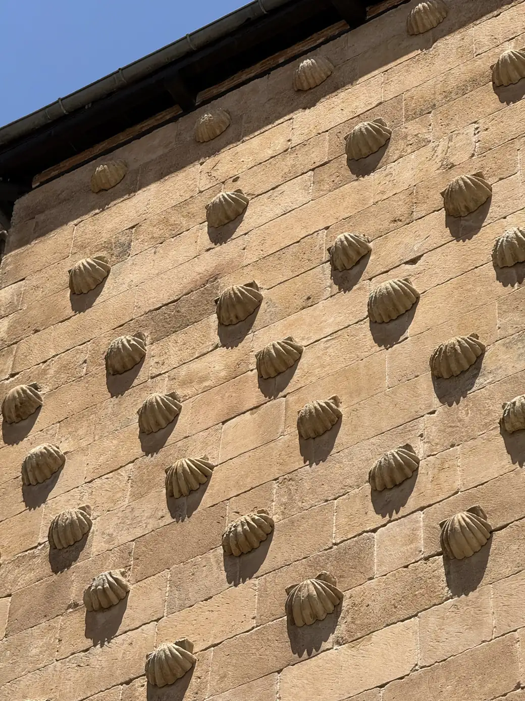 Detalle de las conchas de vieira talladas en la fachada de la Casa de las Conchas de Salamanca — Foto propia La Maleta Inquieta, junio 2026