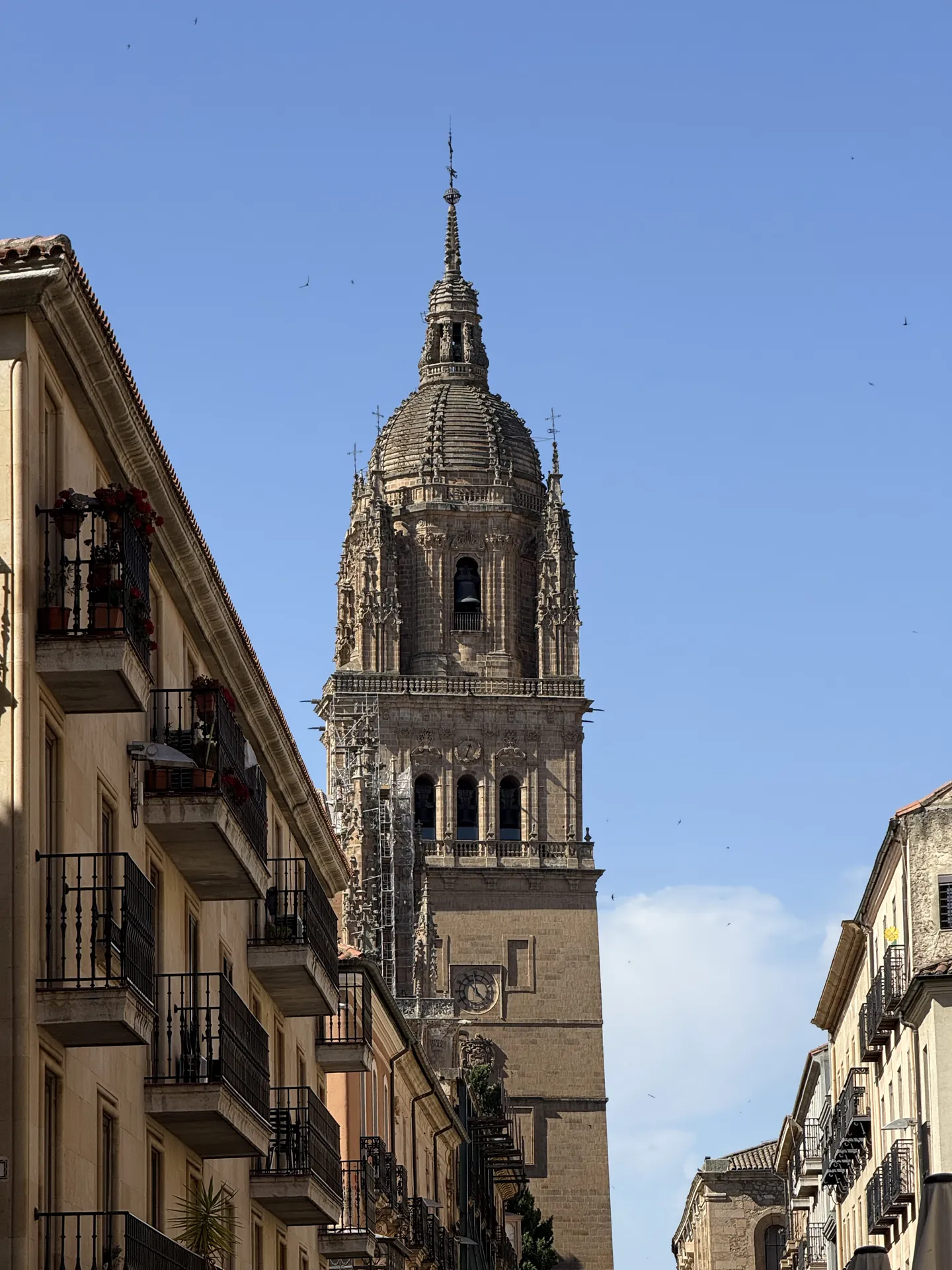 Vista de los tejados de Salamanca desde las cubiertas de la catedral en el recorrido de Ieronimus — Foto propia La Maleta Inquieta, junio 2026