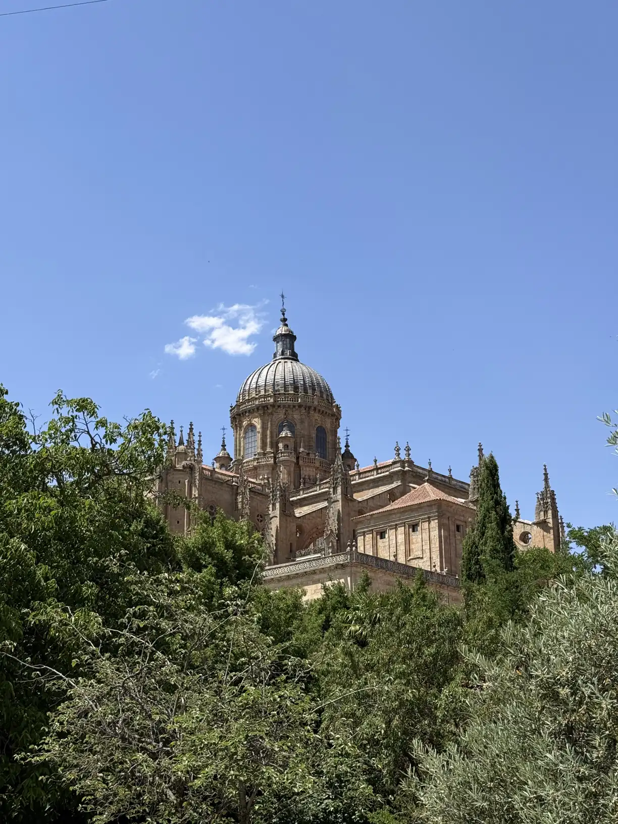 Catedral de Salamanca desde el huerto de Calixto y Melibea, inicio de la ruta de un día — Foto propia La Maleta Inquieta