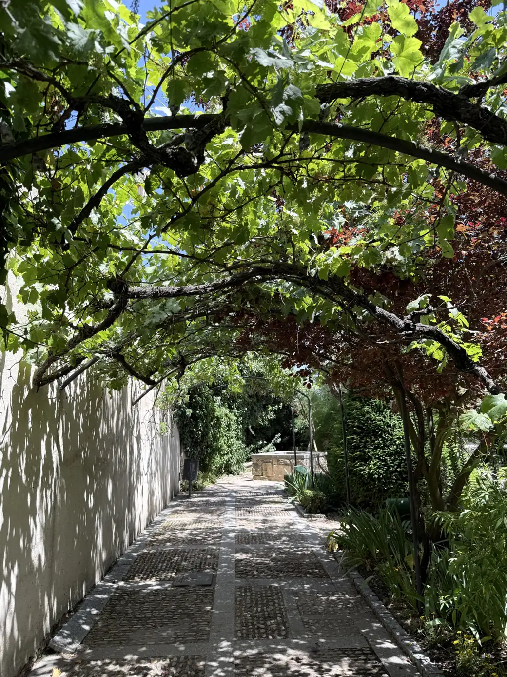 Paseo sombreado con arcos de vegetación en el Huerto de Calixto y Melibea — Foto propia La Maleta Inquieta, junio 2026