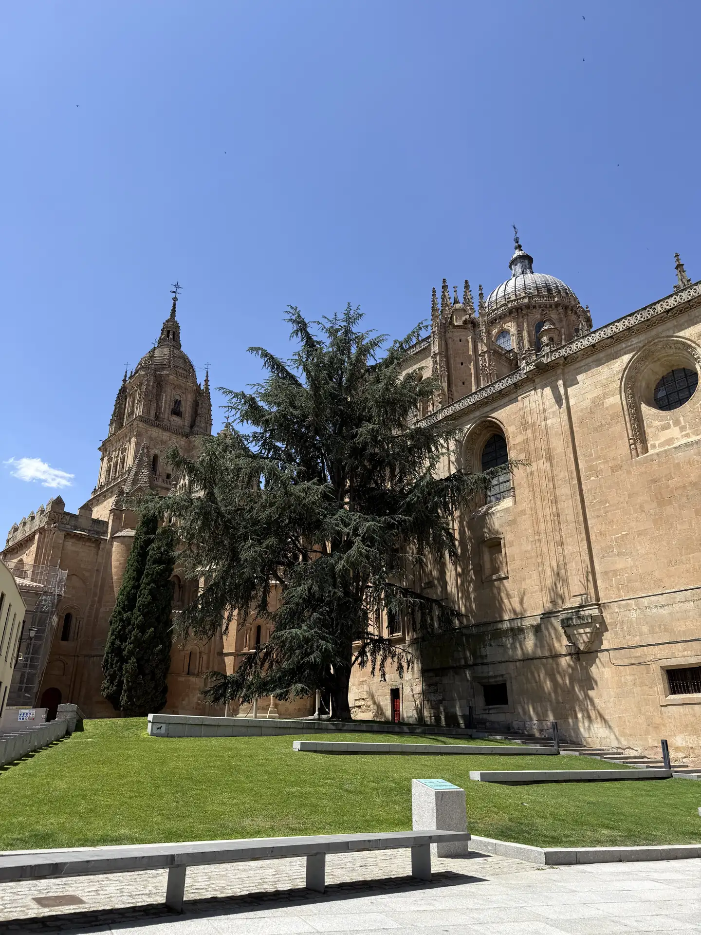 Torre y cimborrio de la Catedral de Salamanca vistos desde el Huerto de Calixto y Melibea, Foto propia La Maleta Inquieta, septiembre 2026