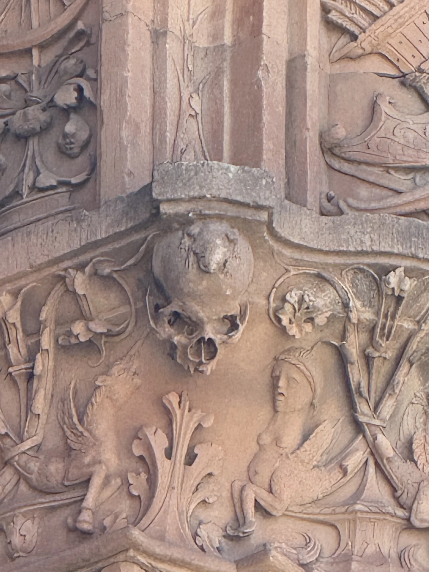 La rana sobre una calavera en la fachada plateresca de la Universidad de Salamanca. Foto propia La Maleta Inquieta, junio 2026