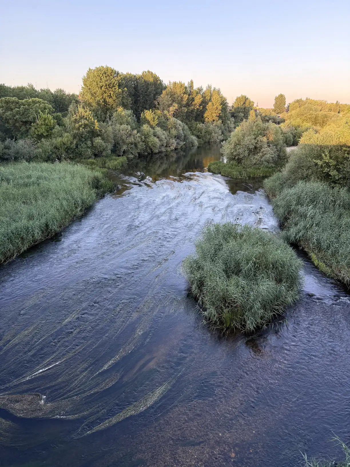 Ribera del río Tormes con vegetación junto al Puente Romano de Salamanca, Foto propia La Maleta Inquieta, septiembre 2026
