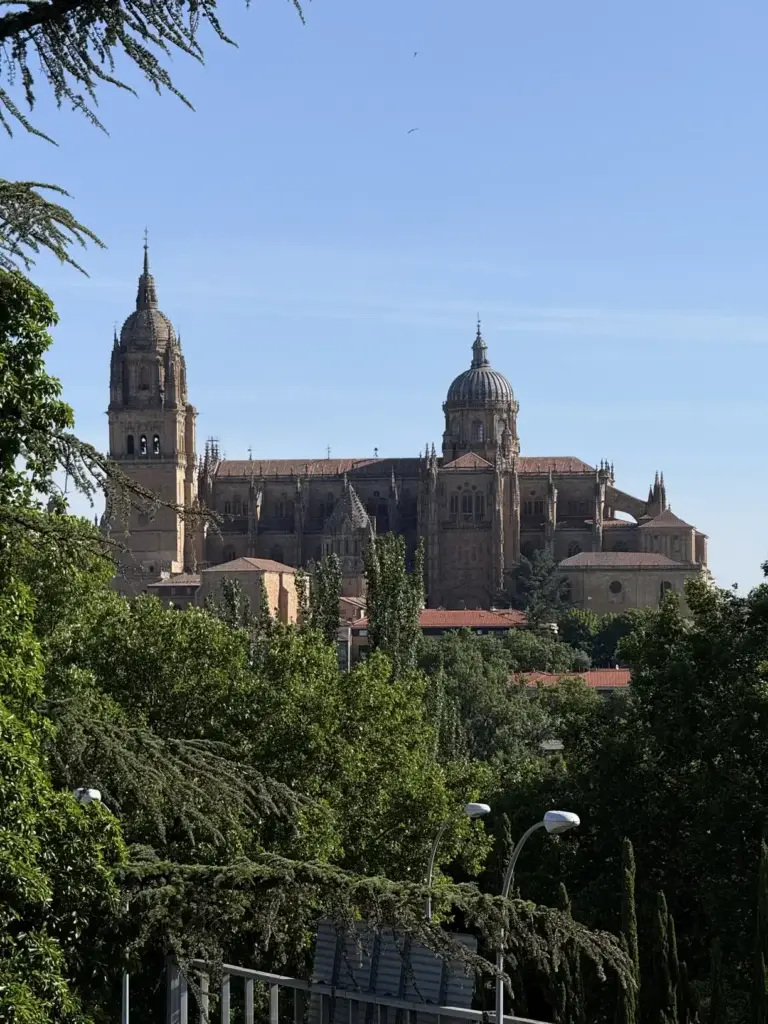 Vista panorámica de la Catedral de Salamanca desde jardines junto al río Tormes — Foto propia La Maleta Inquieta, junio 2026
