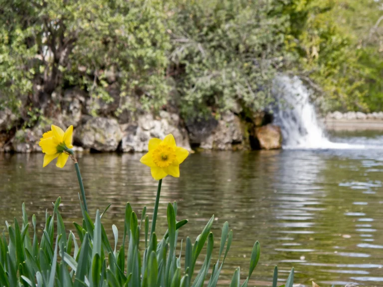 Jardín romántico de El Capricho de la Alameda de Osuna con vegetación frondosa y elementos decorativos. Foto propia La Maleta Inquieta, julio 2026