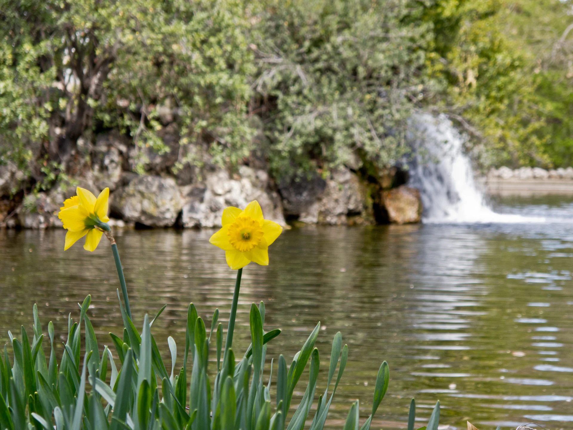 Jardín romántico de El Capricho de la Alameda de Osuna con vegetación frondosa y elementos decorativos. Foto propia La Maleta Inquieta, julio 2026