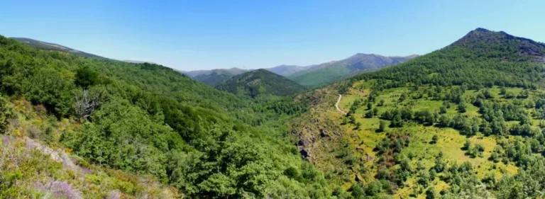Valle boscoso de la sierra de Madrid con montañas verdes y cielo azul despejado