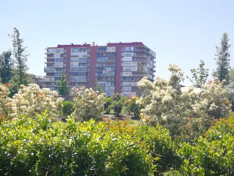 Parque lineal de Madrid Río a orillas del río Manzanares con arbolado y paseo. Foto propia La Maleta Inquieta, 2026.