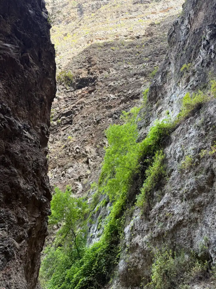 Paredes rocosas del Barranco del Infierno con vegetación verde entre las grietas. Foto propia La Maleta Inquieta, agosto 2026.