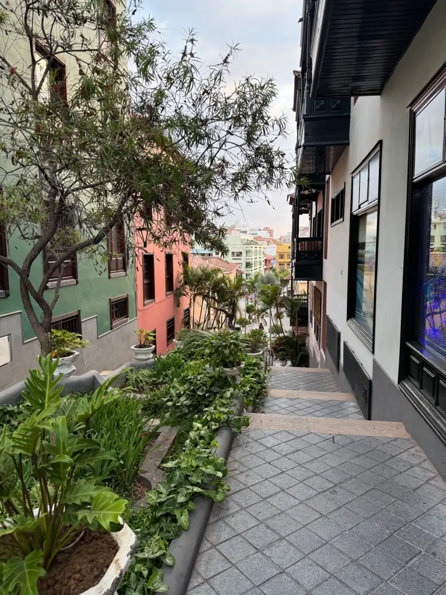 Calle con plantas y edificios de colores en el casco urbano de Puerto de la Cruz. Foto propia La Maleta Inquieta, agosto 2026.