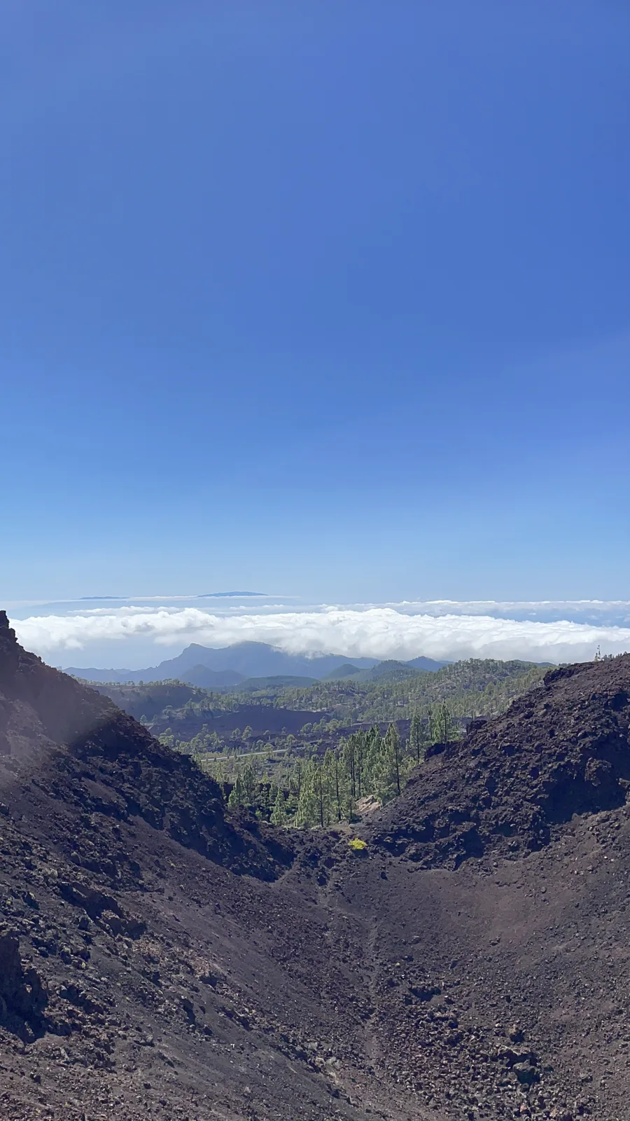Cráter del Volcán Chinyero con pinar canario y vistas sobre el mar de nubes. Foto propia La Maleta Inquieta, agosto 2026.