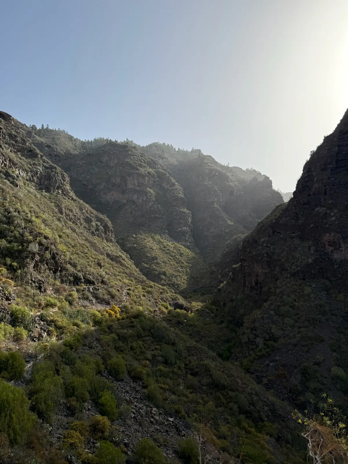 Laderas del Barranco del Infierno con vegetación densa entre las paredes rocosas. Foto propia La Maleta Inquieta, agosto 2026.