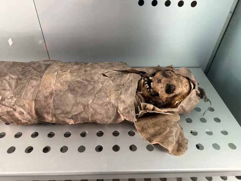 Momia guanche preservada expuesta en vitrina de museo. Foto propia La Maleta Inquieta, julio 2026.