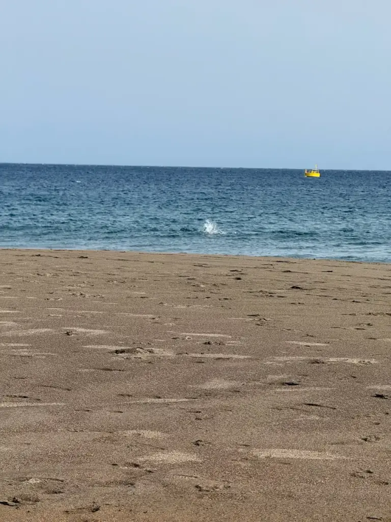 Playa de La Tejita con submarinista en el agua y barco amarillo al fondo. Foto propia La Maleta Inquieta, agosto 2026.