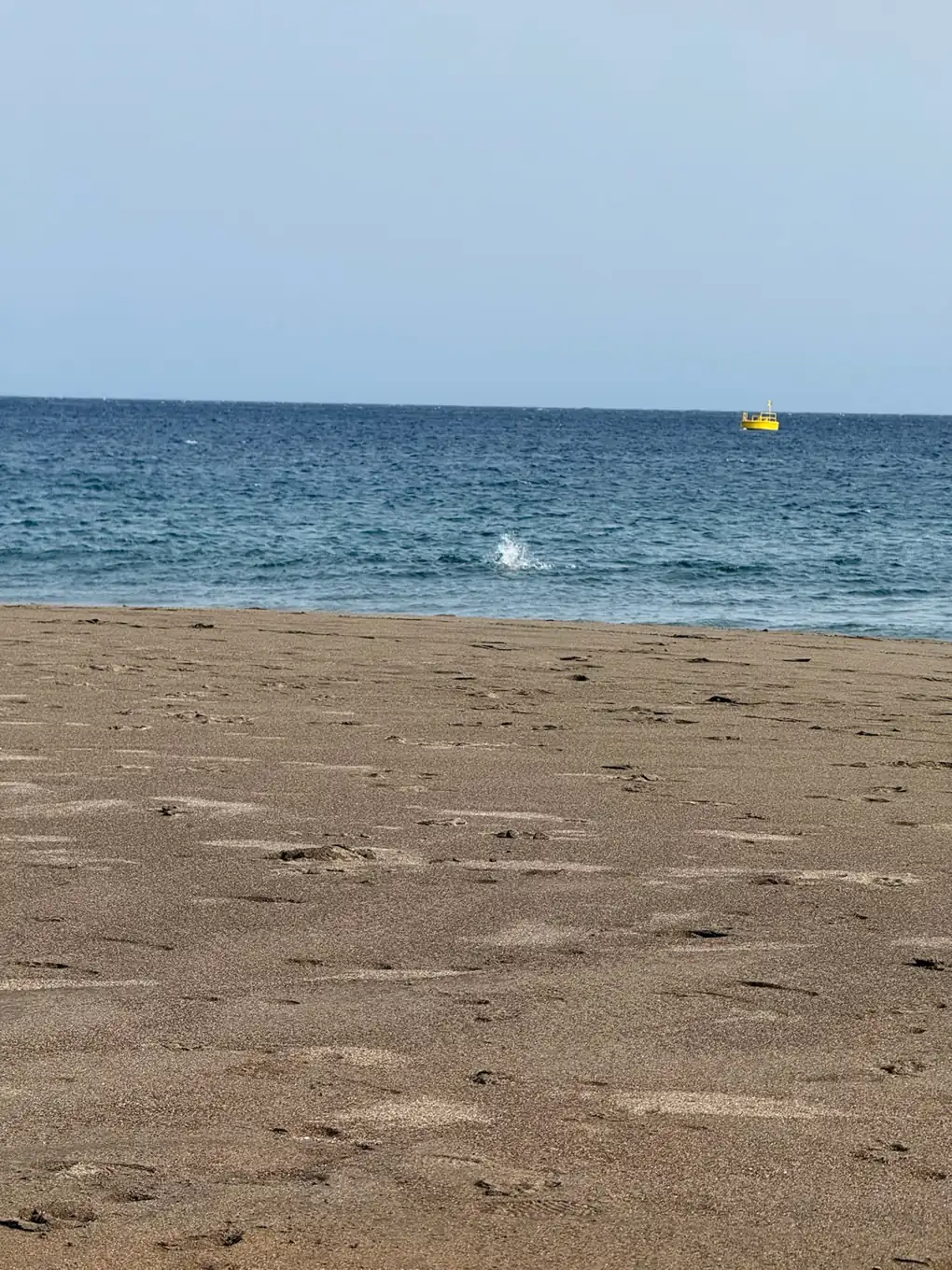 Playa de La Tejita con submarinista en el agua y barco amarillo al fondo. Foto propia La Maleta Inquieta, agosto 2026.