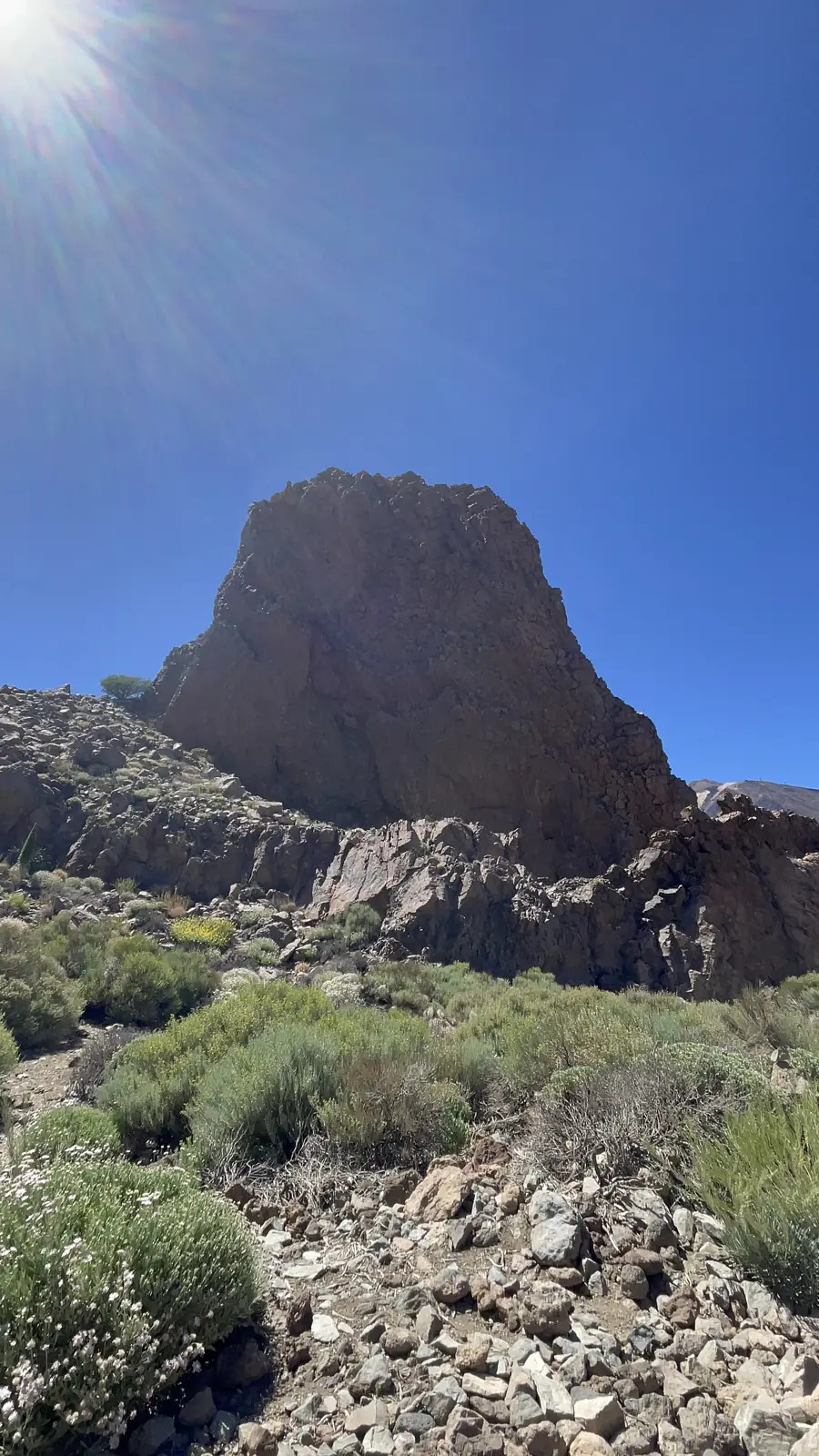 Subir al Parque Nacional del Teide