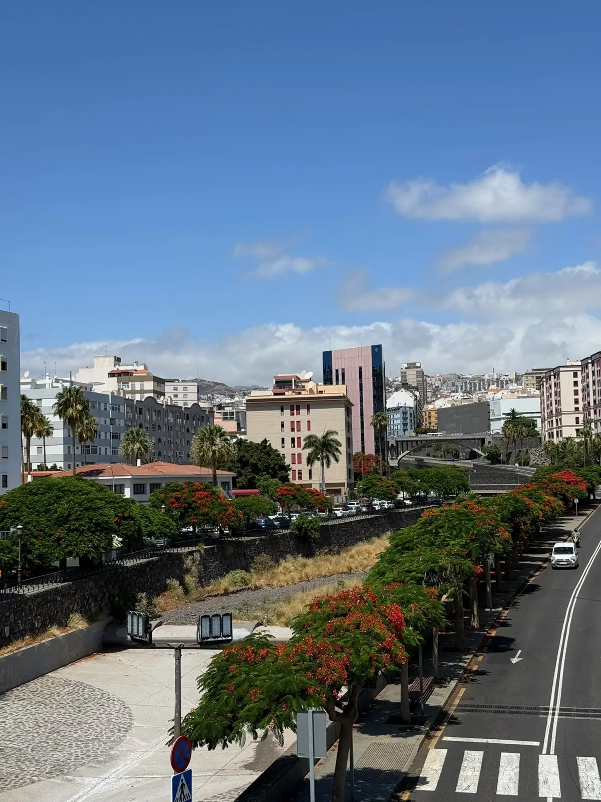 Escudo de Santa Cruz de Tenerife junto a la bandera de España en el centro institucional de la capital. Foto propia La Maleta Inquieta, agosto de 2026