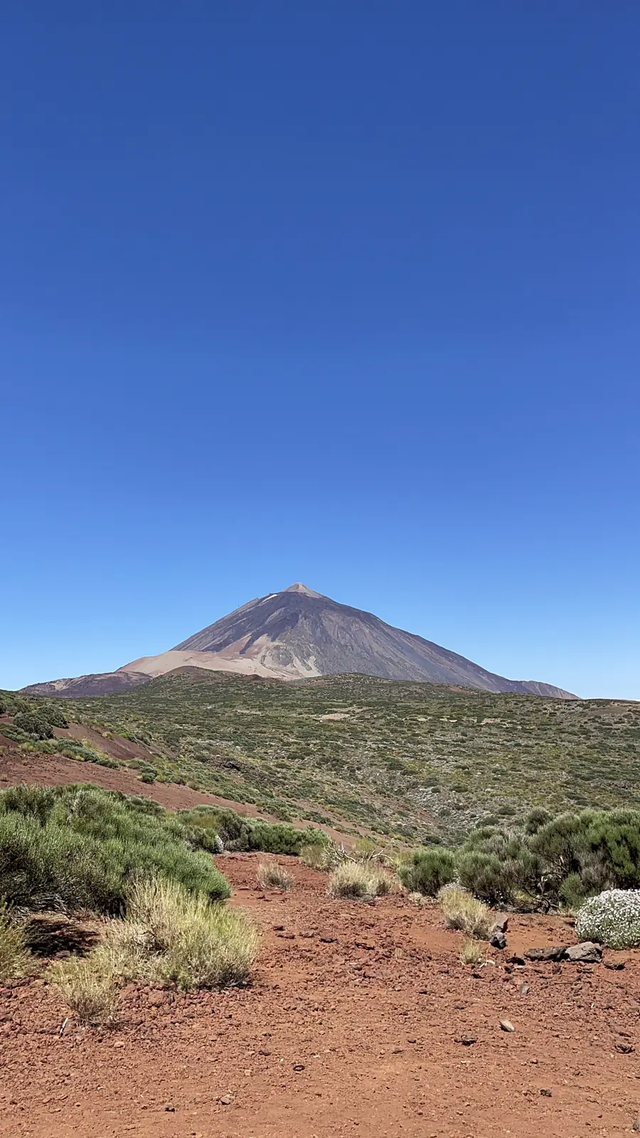 Diez días para verla sin correr