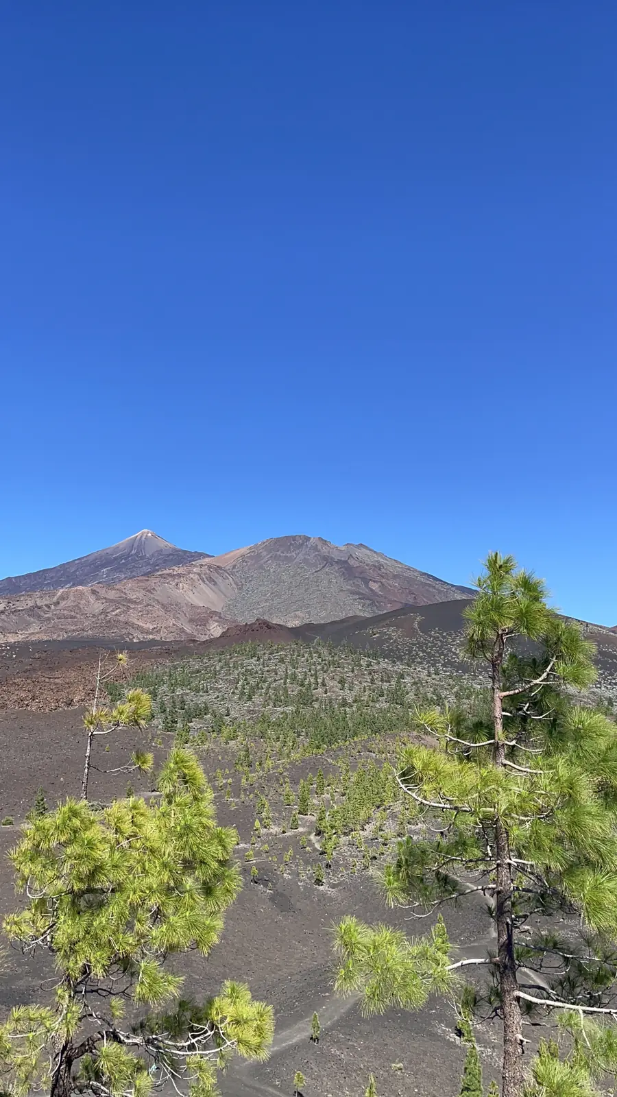 Tenerife en 4 días