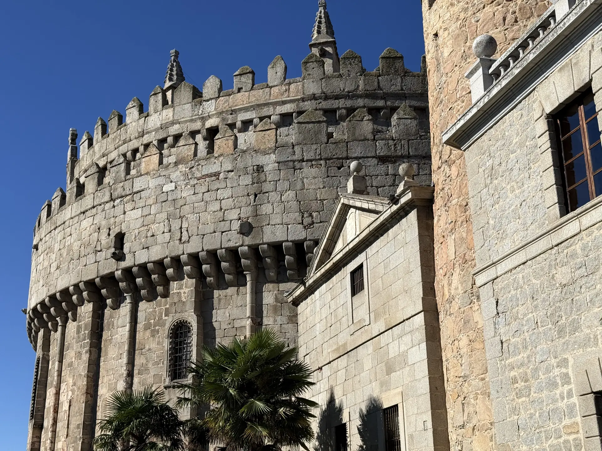 El Cimorro de la catedral