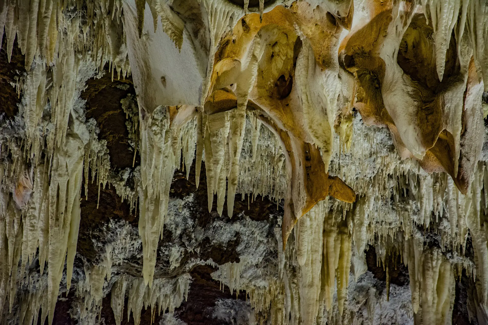 Cuevas del Águila