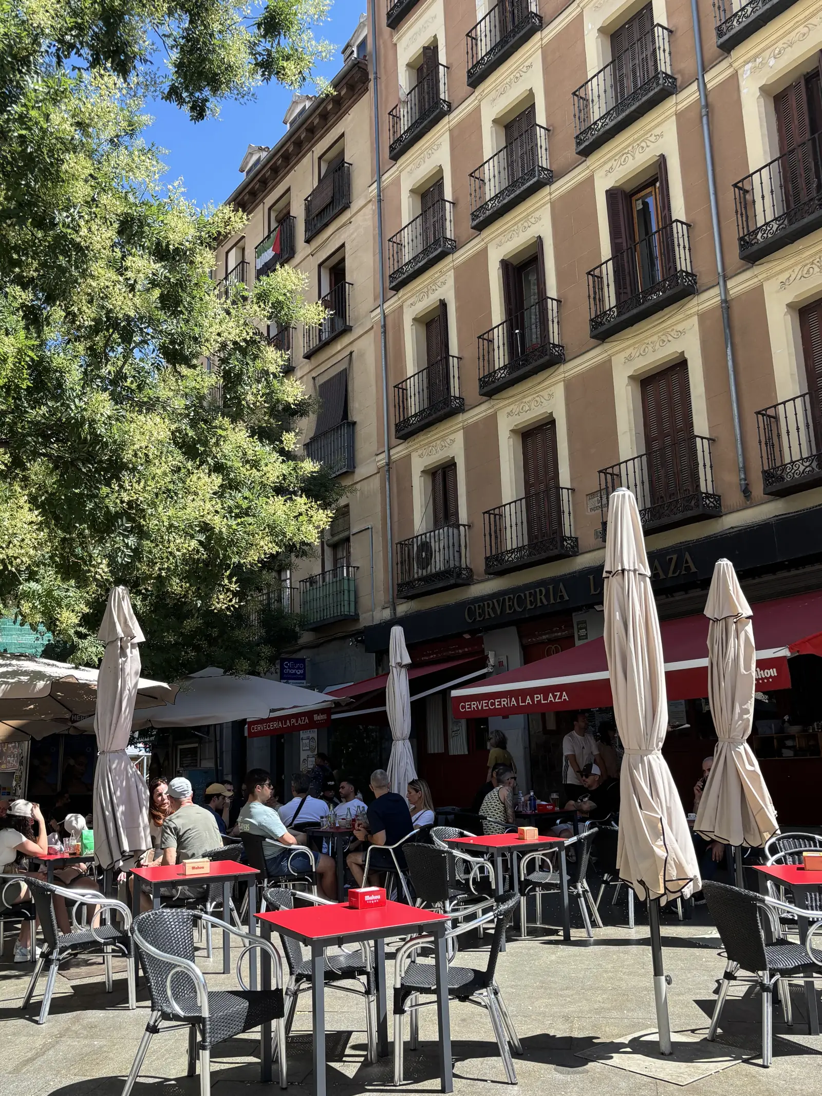Dónde comer en Madrid