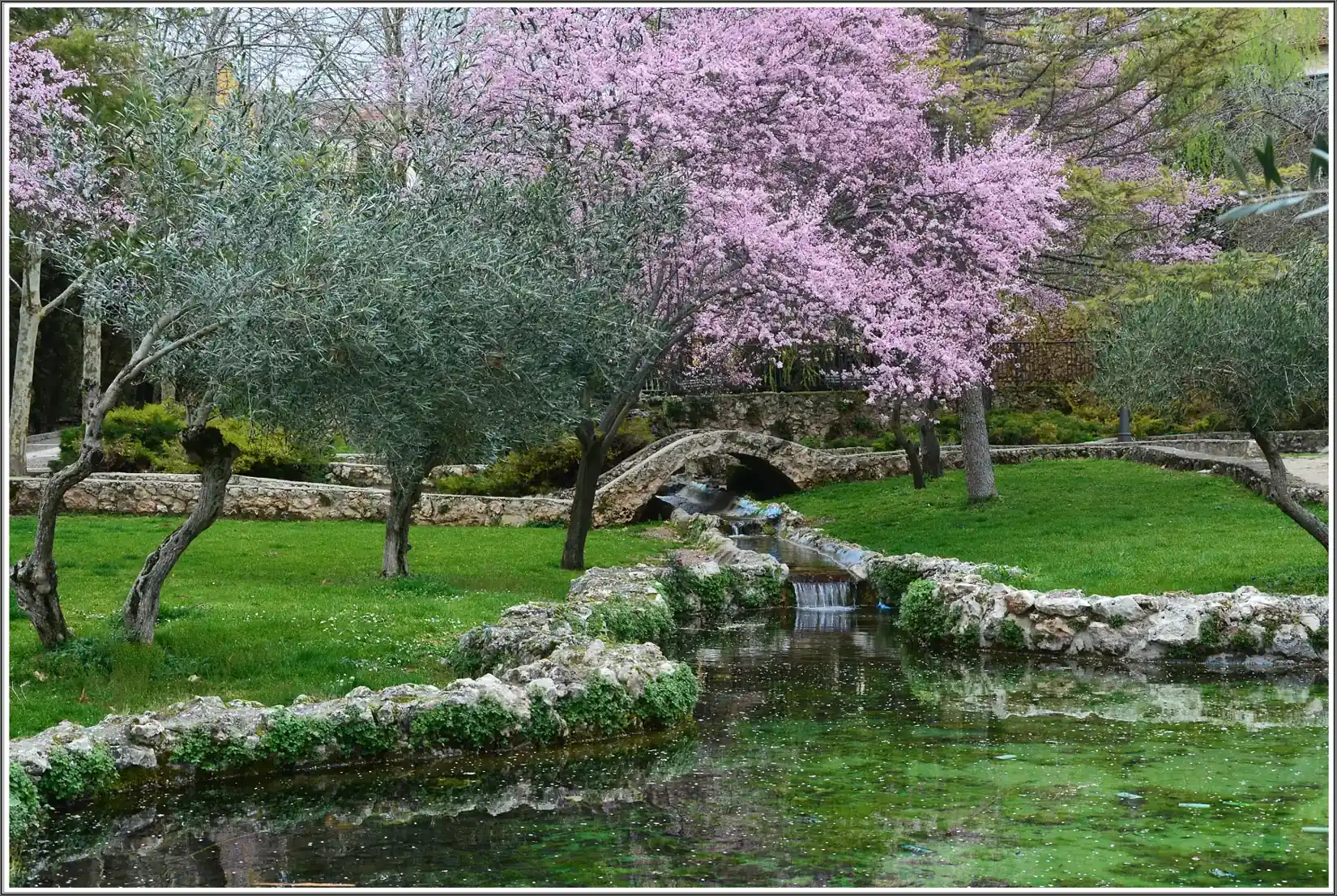 Jardín con un árbol en flor y un arroyo en Brihuega, el plan de quedarse a dormir en primavera