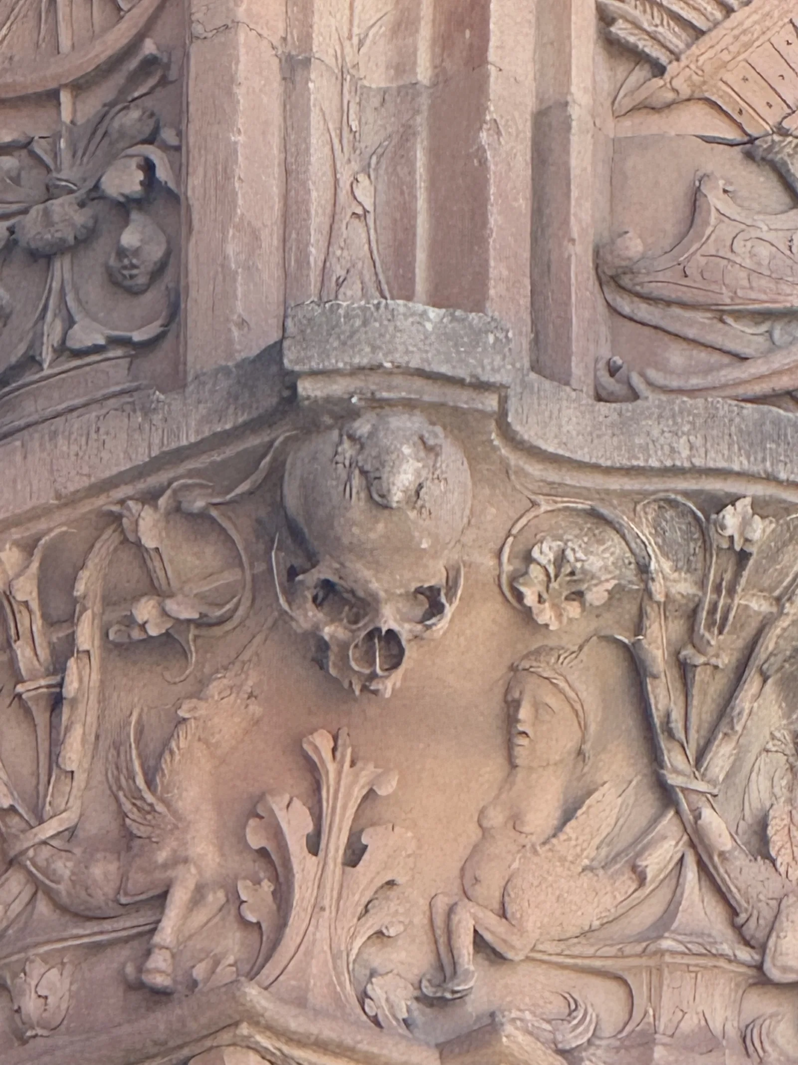 La rana de Salamanca