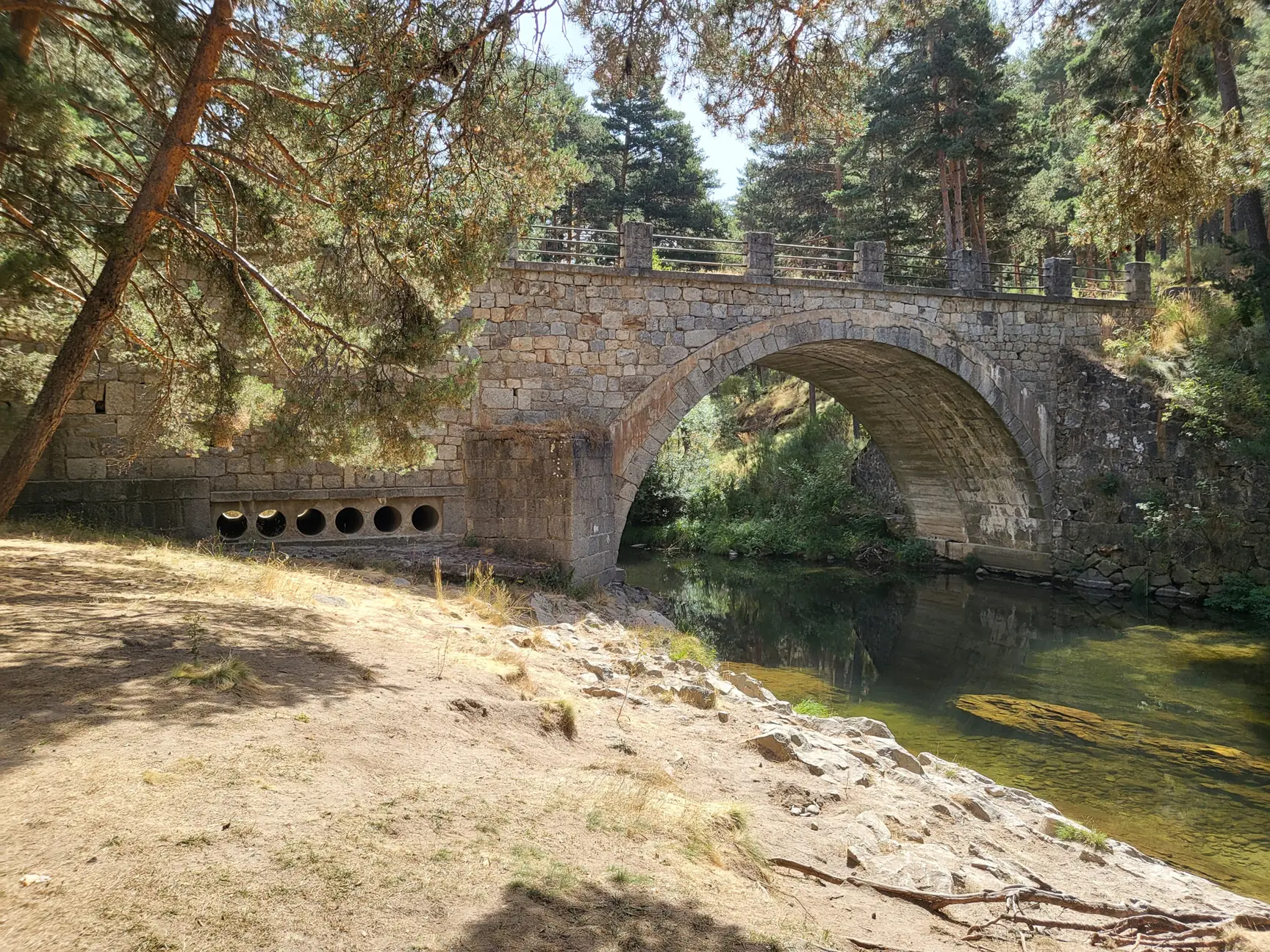 Puente del Duque de piedra sobre el río Tormes en Hoyos del Espino, con pinos y una orilla de arena junto al agua