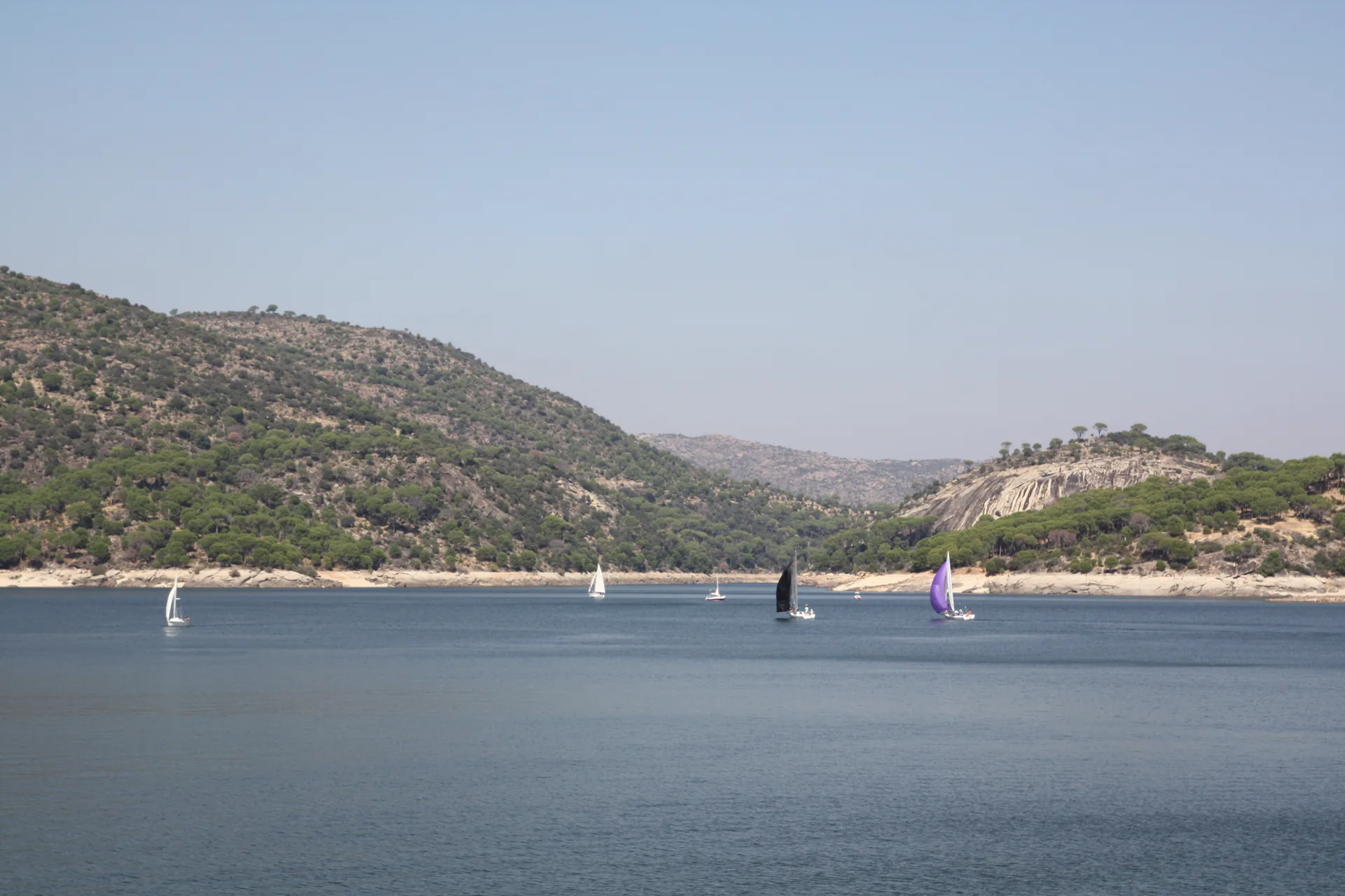 Veleros navegando en el embalse de San Juan, con las laderas de pinar y roca al fondo