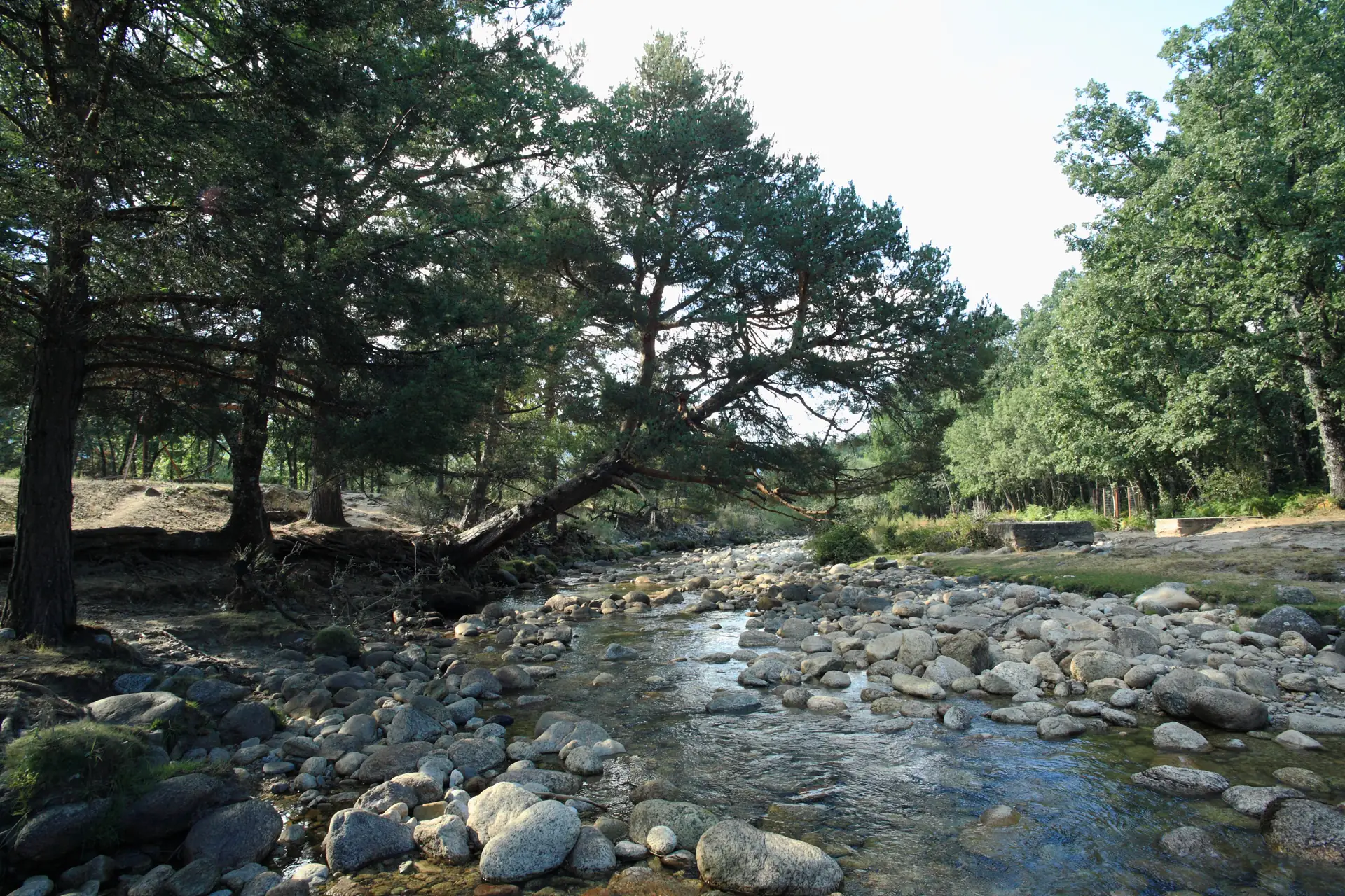 Río Lozoya junto a las Presillas de Rascafría en la sierra de Madrid