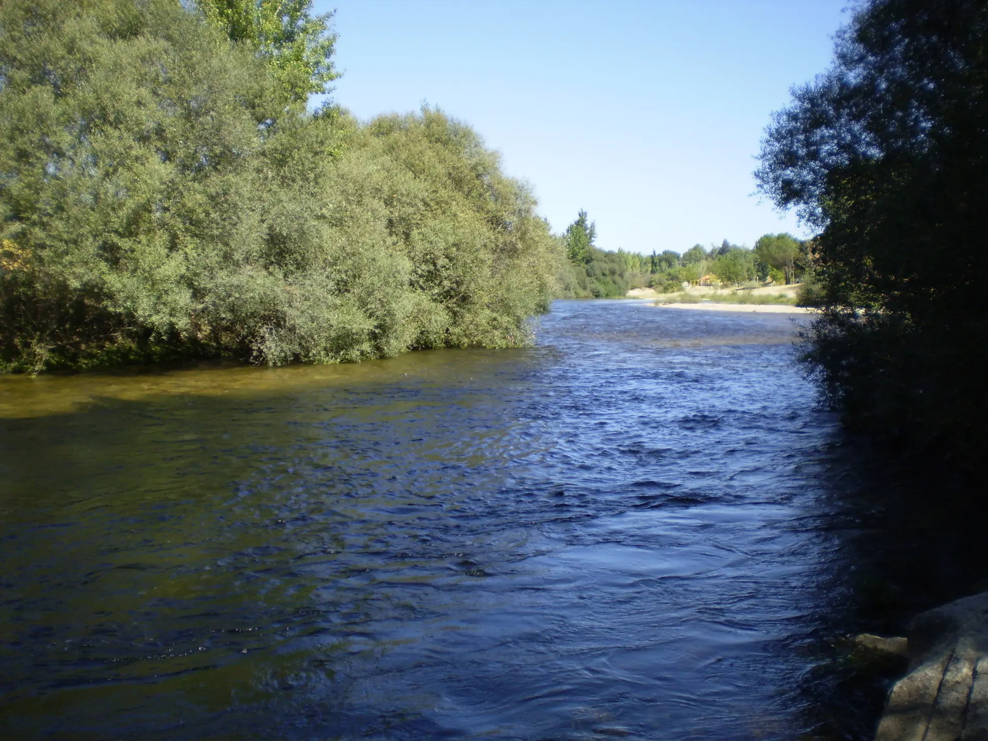 El río Alberche entre sauces a su paso por Aldea del Fresno, con la orilla de arena al fondo