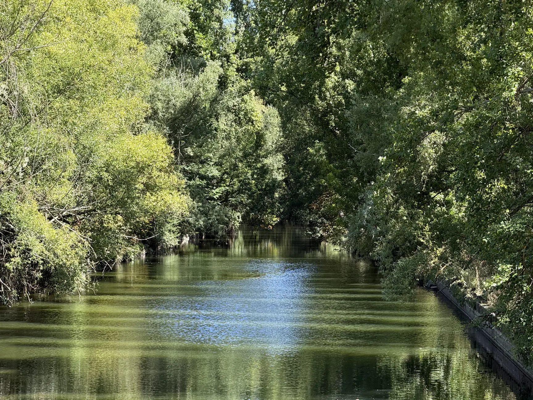 Curso del Eresma con agua en calma reflejando la vegetación de ambas orillas, Foto propia La Maleta Inquieta, octubre 2026