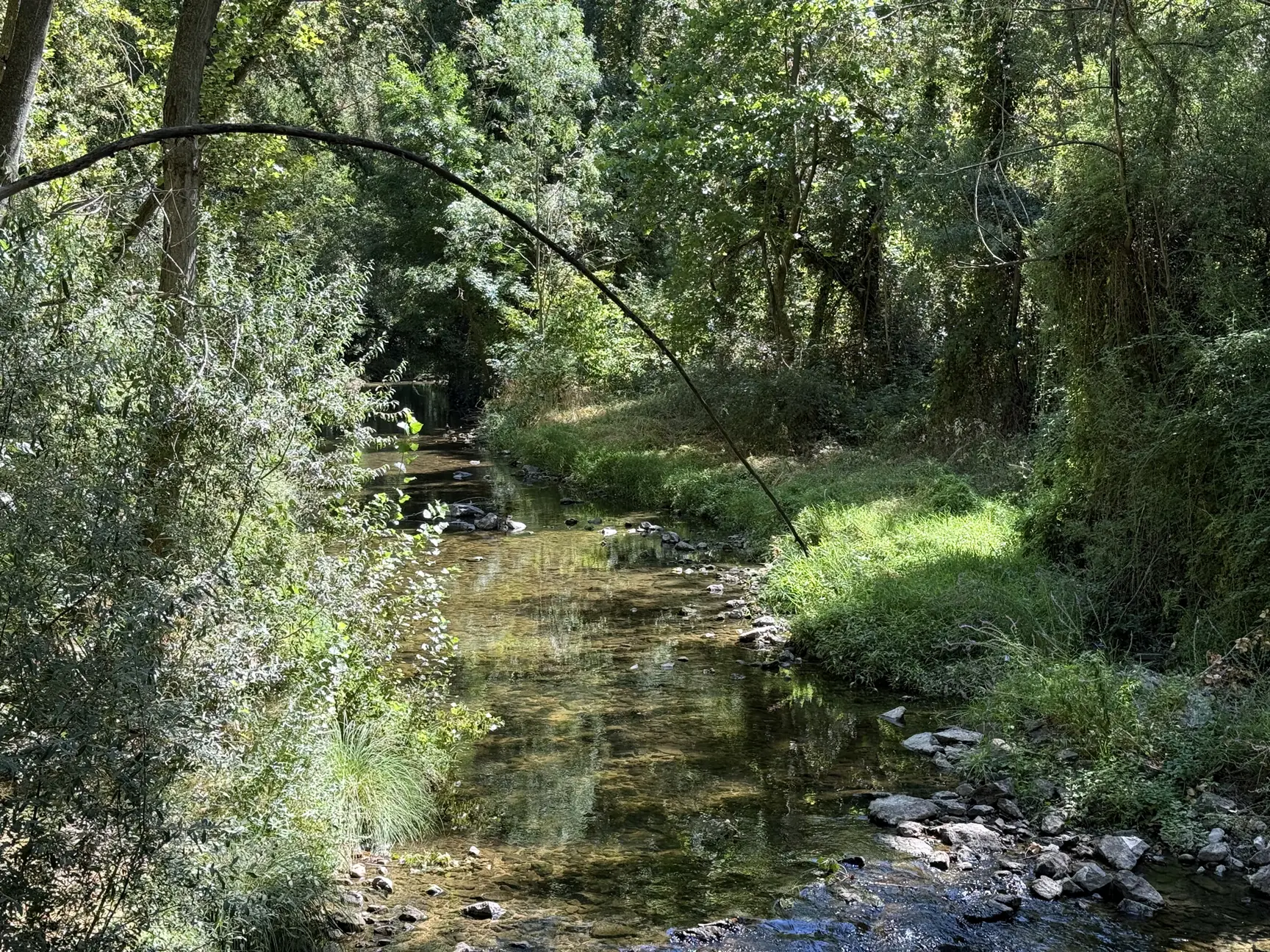 Curso tranquilo del Eresma rodeado de vegetación con reflejos en el agua, Foto propia La Maleta Inquieta, octubre 2026