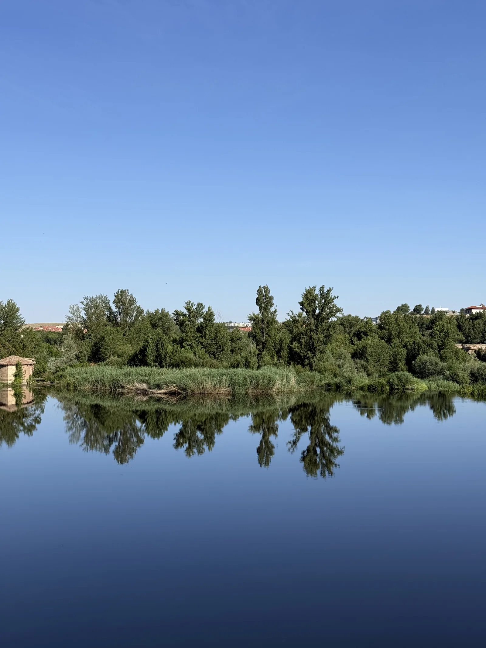 Salamanca con niños
