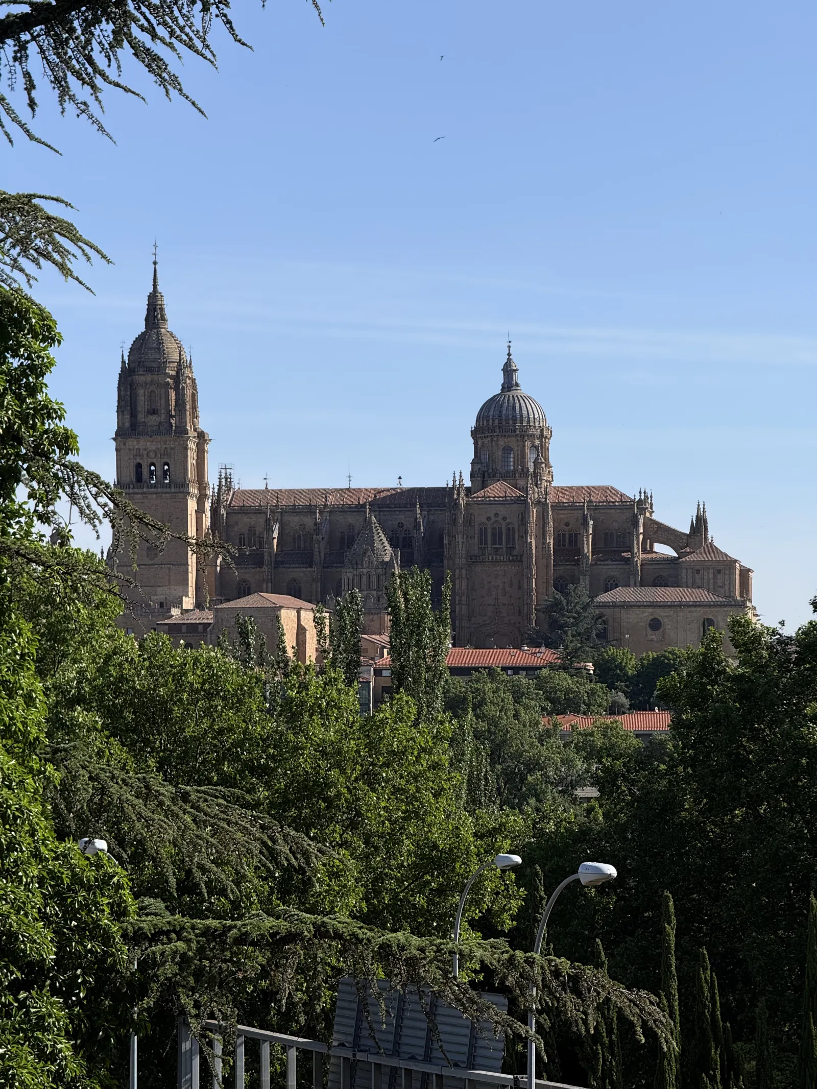 Qué ver en Salamanca
