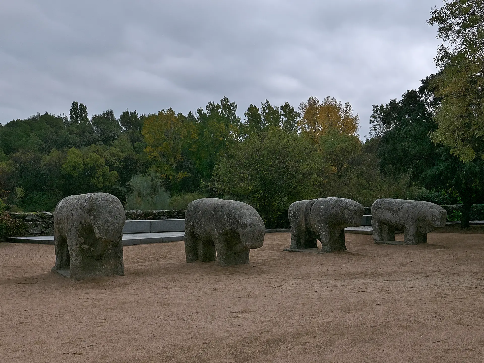 Los cuatro verracos vetones de granito de los Toros de Guisando alineados sobre la explanada de arena, con robles detrás, en El Tiemblo (Ávila)