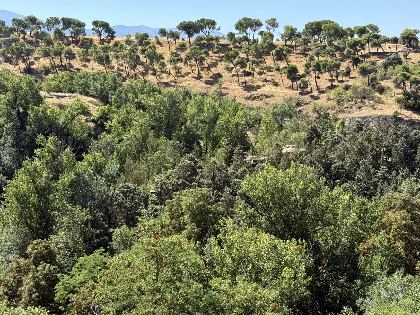Valle del río con vegetación de ribera y pradera con pinos dispersos en la ladera, Foto propia La Maleta Inquieta, octubre 2026