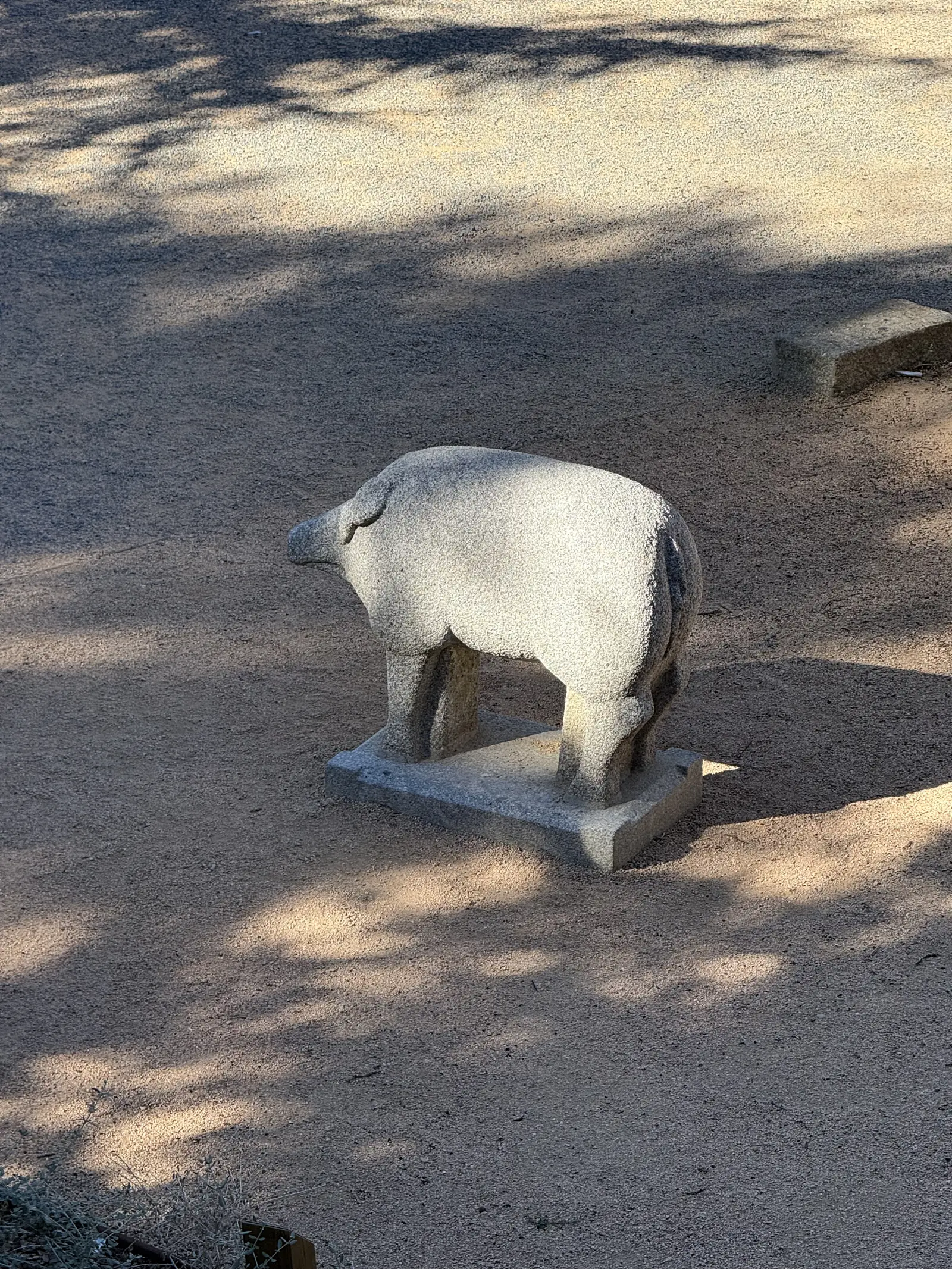 Verraco de granito en el jardín del Parador de Ávila, sobre el suelo de tierra con sombras de los árboles. Foto propia La Maleta Inquieta, septiembre 2026.