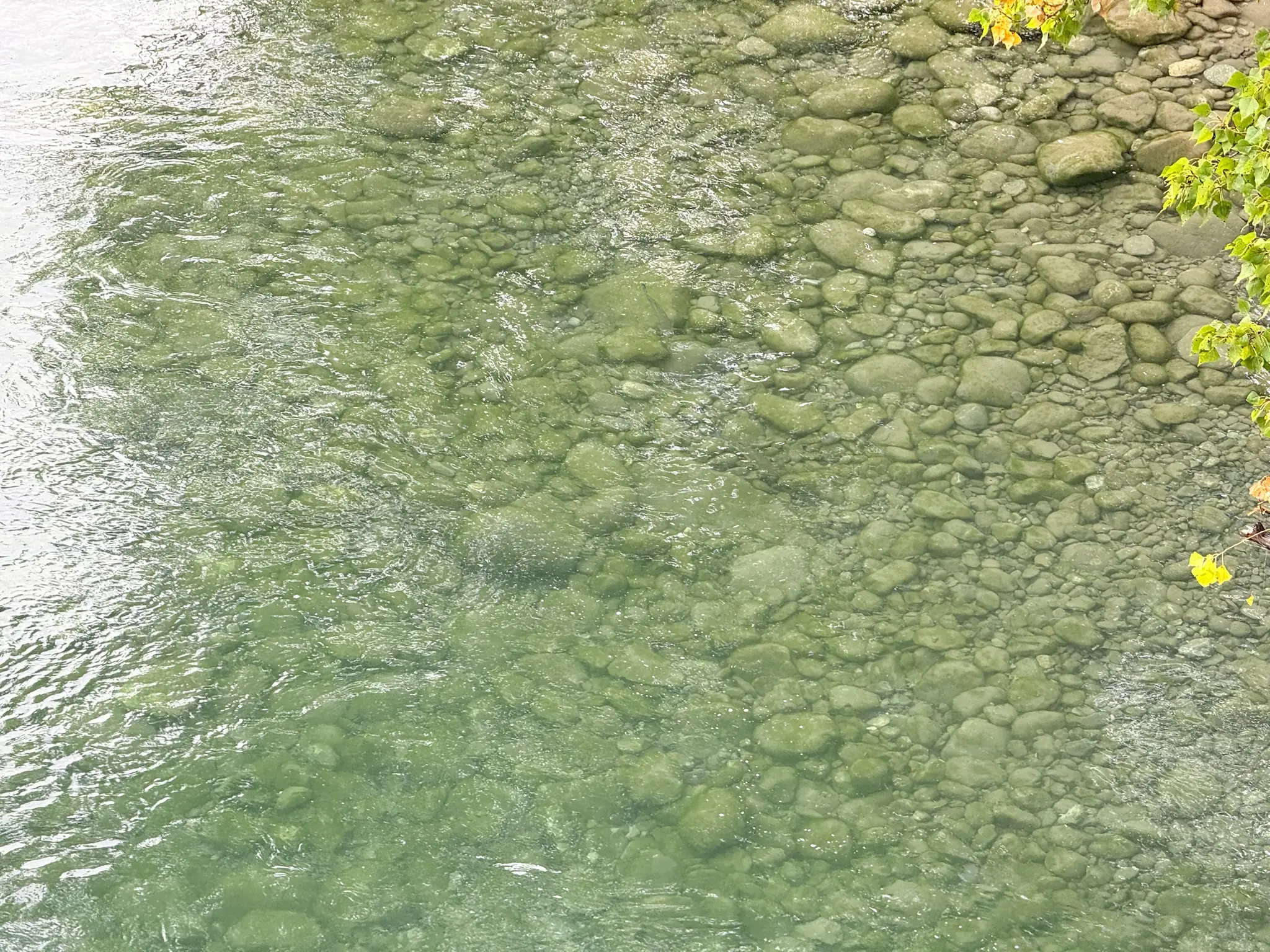 Agua cristalina del río con cantos rodados visibles en el fondo cerca de Aínsa. Foto propia La Maleta Inquieta, octubre 2026
