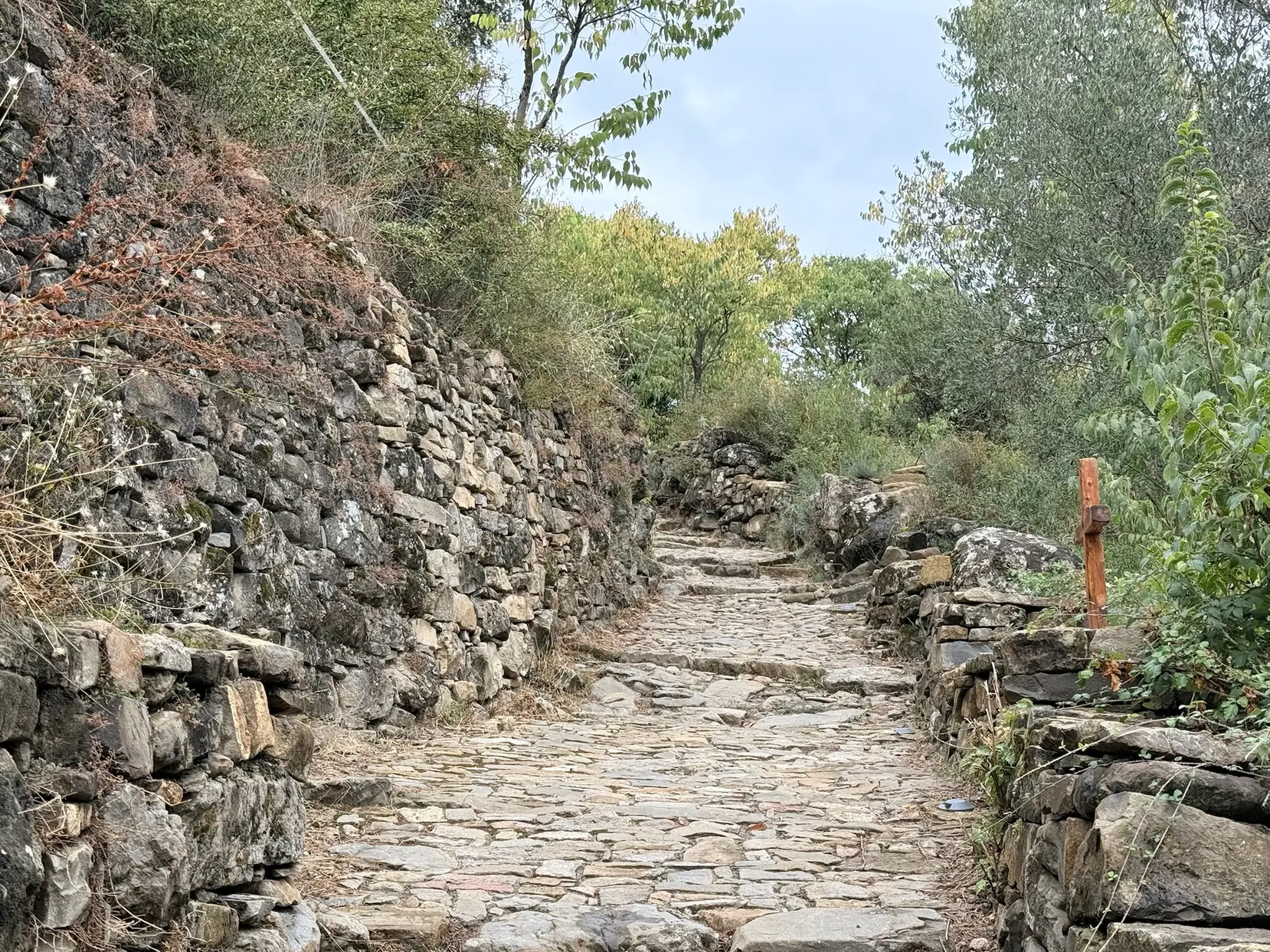 Camino empedrado medieval que sube al castillo de Boltaña entre muros de piedra seca y vegetación. Foto propia La Maleta Inquieta, octubre 2026