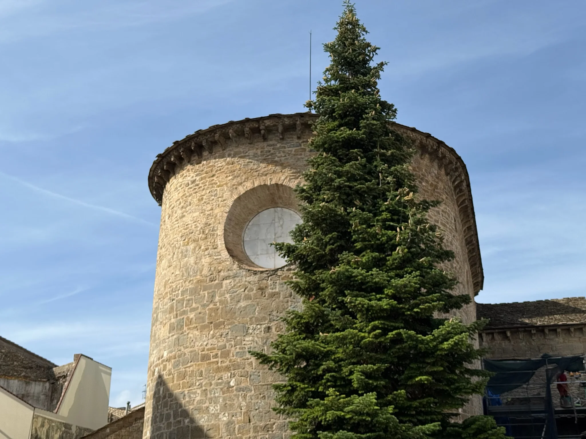 Ábside semicircular de piedra con óculo y canecillos junto a un abeto en la Catedral de San Pedro de Jaca. Foto propia La Maleta Inquieta, octubre 2026