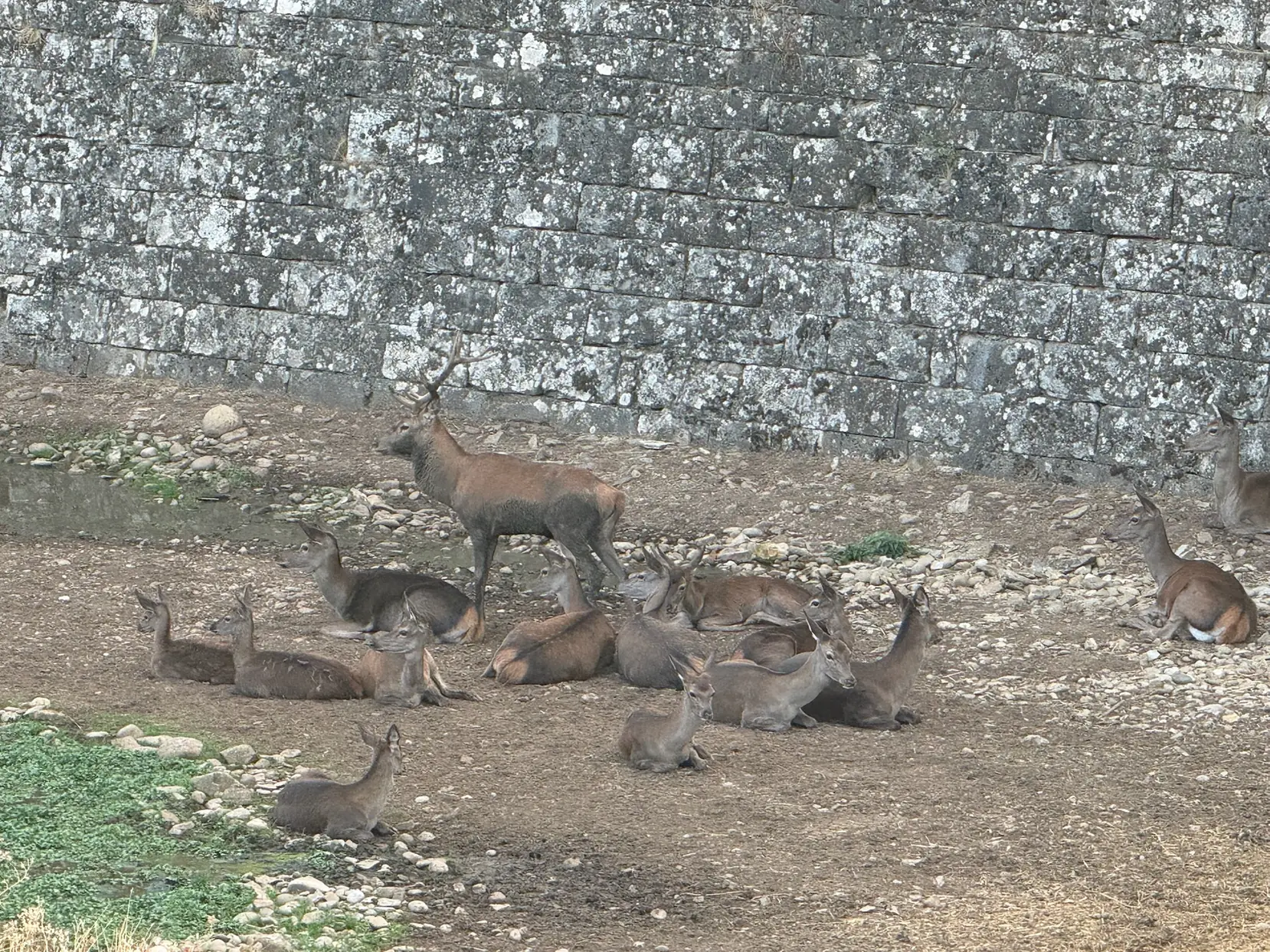 Huesca con niños
