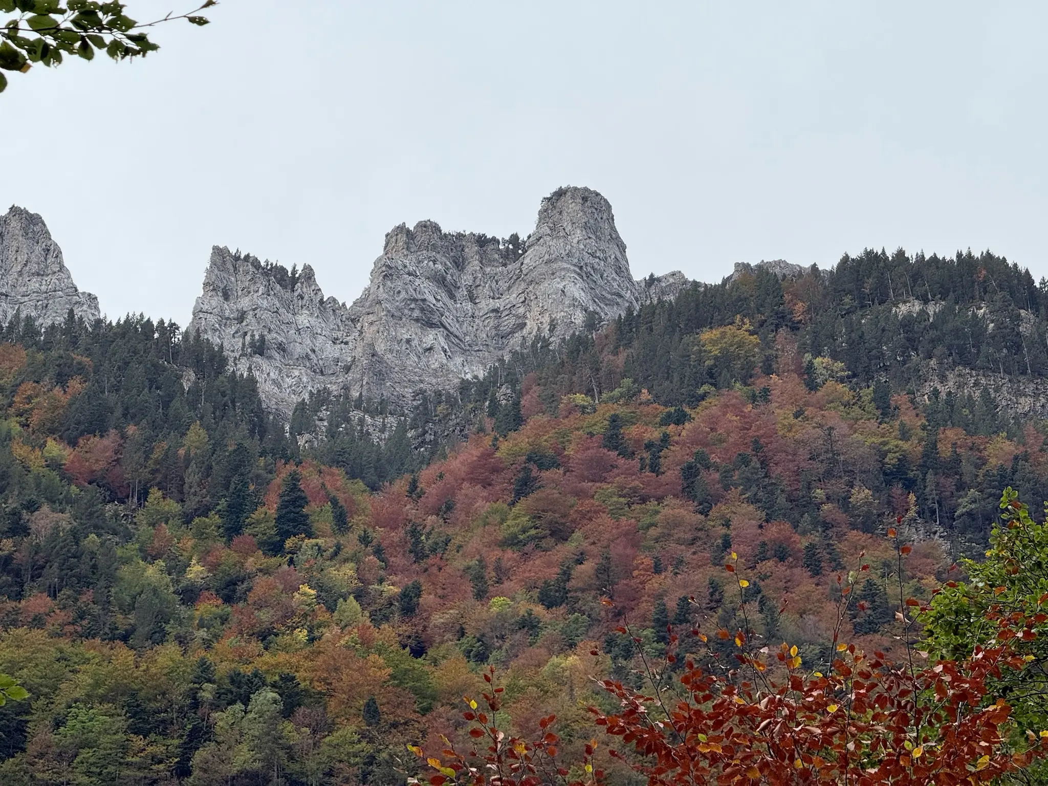Formaciones rocosas del valle de Ordesa con bosque otoñal al fondo. Foto propia La Maleta Inquieta, octubre 2026
